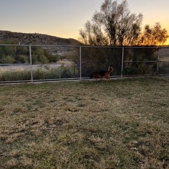 Dog Park at Westside Community Park